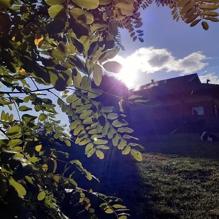 Confinedeisanti Moriondo Torinese