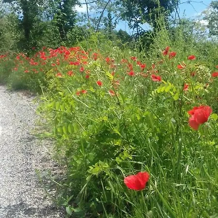 Confinedeisanti Moriondo Torinese