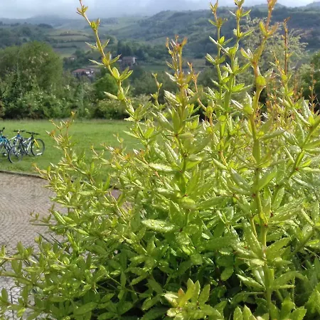 Bed & Breakfast Confinedeisanti Moriondo Torinese